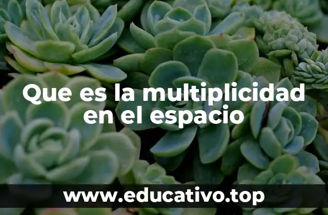 Que es la multiplicidad en el espacio