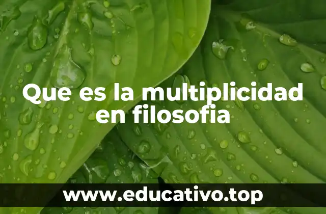 Que es la multiplicidad en filosofia