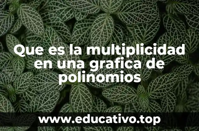 Que es la multiplicidad en una grafica de polinomios