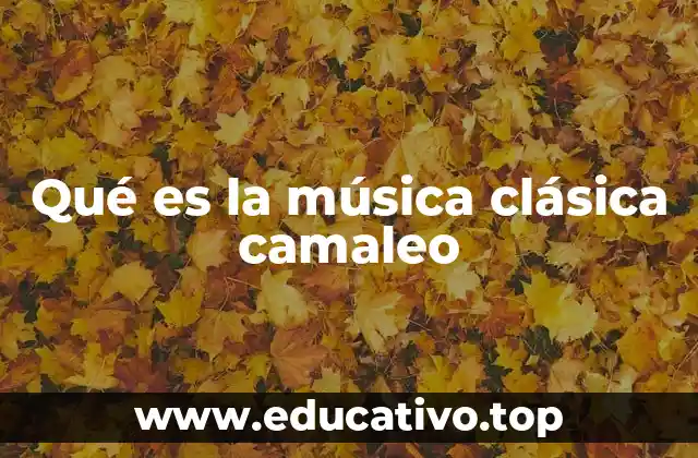 Qué es la música clásica camaleo