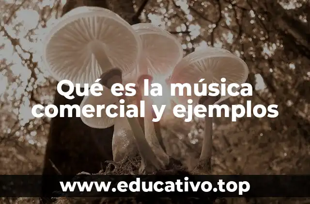 Cómo se distingue la música comercial de otros estilos musicales