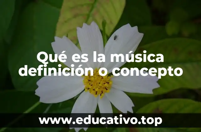 Qué es la música definición o concepto