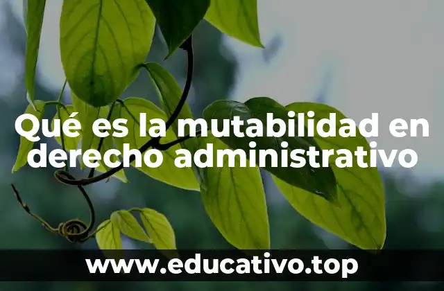 Qué es la mutabilidad en derecho administrativo