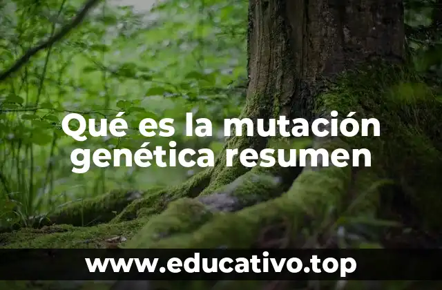 Qué es la mutación genética resumen