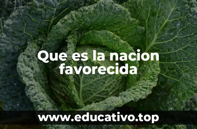 Que es la nacion favorecida