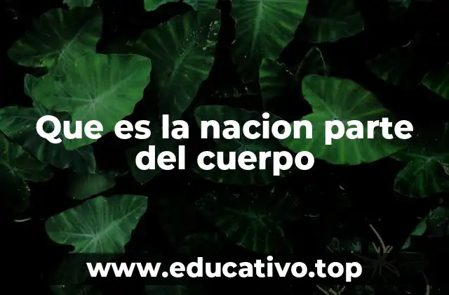 Que es la nacion parte del cuerpo
