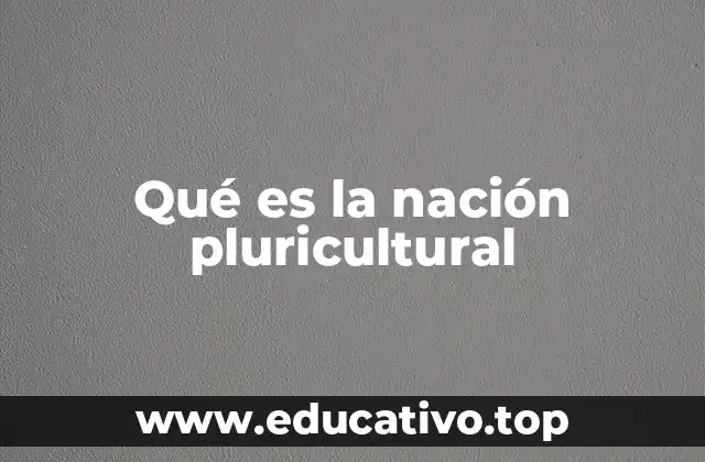 Qué es la nación pluricultural