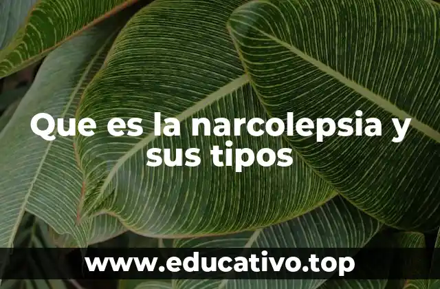 Que es la narcolepsia y sus tipos