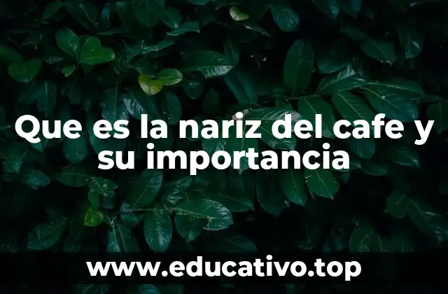 Que es la nariz del cafe y su importancia