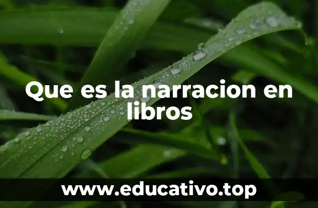 Que es la narracion en libros