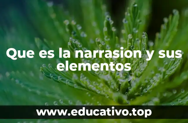 Que es la narrasion y sus elementos