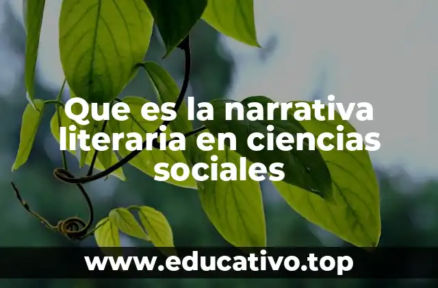 Que es la narrativa literaria en ciencias sociales
