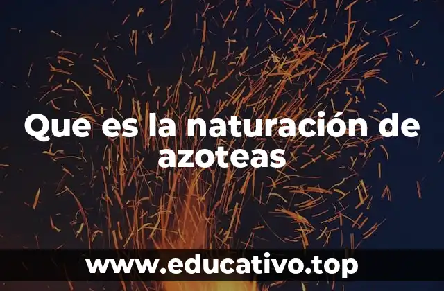 Que es la naturación de azoteas