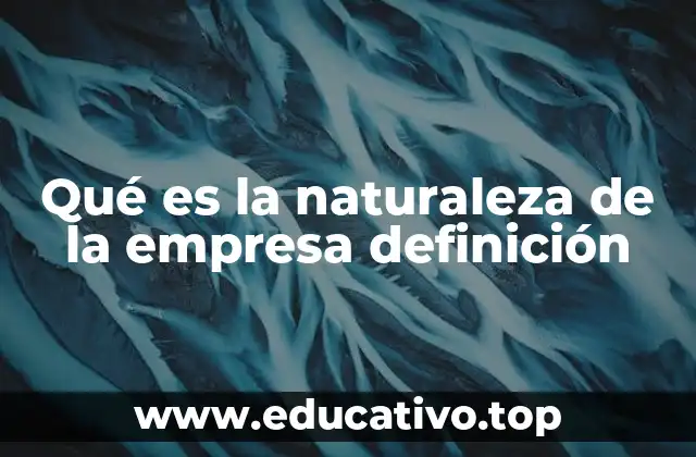 Qué es la naturaleza de la empresa definición