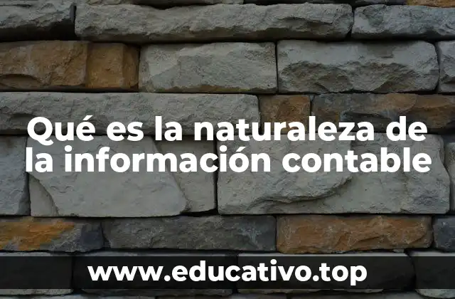 Qué es la naturaleza de la información contable