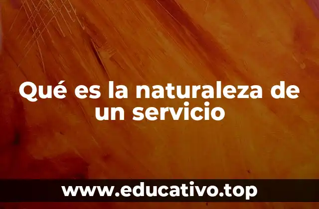 Qué es la naturaleza de un servicio