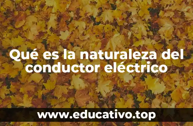 Qué es la naturaleza del conductor eléctrico