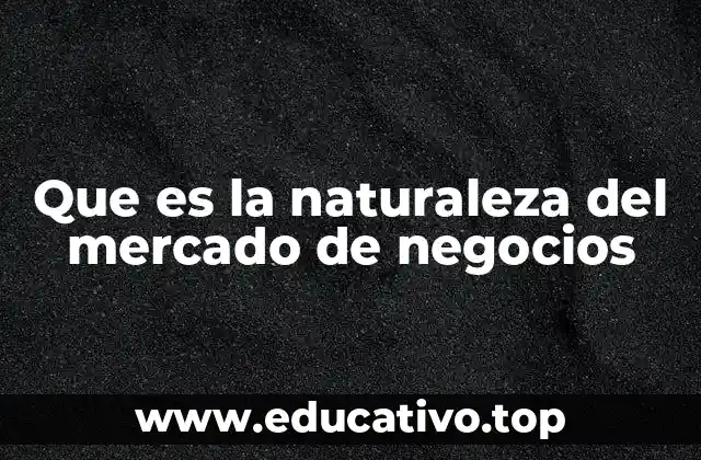 Que es la naturaleza del mercado de negocios