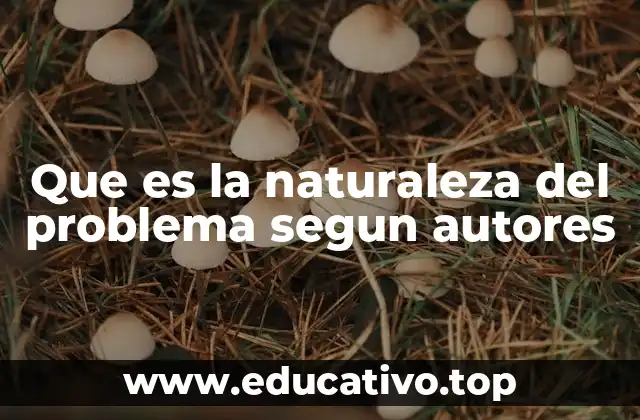 Que es la naturaleza del problema segun autores