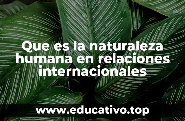 Que es la naturaleza humana en relaciones internacionales