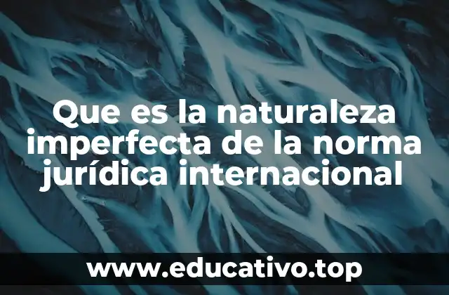 Que es la naturaleza imperfecta de la norma jurídica internacional