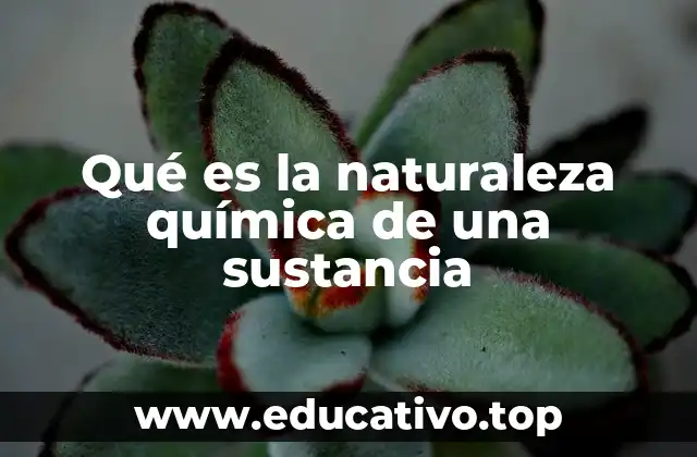 Qué es la naturaleza química de una sustancia