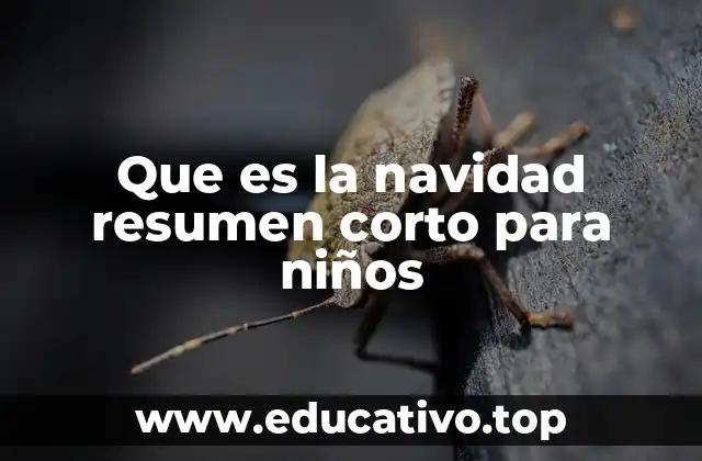 Que es la navidad resumen corto para niños