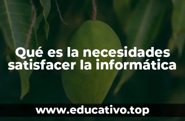Qué es la necesidades satisfacer la informática