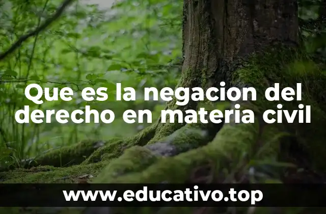 Que es la negacion del derecho en materia civil