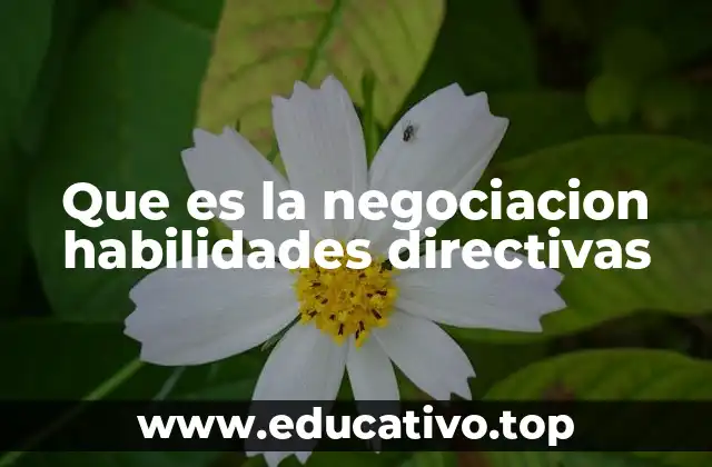 El poder de la negociación en el liderazgo organizacional