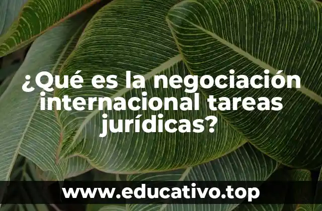 ¿Qué es la negociación internacional tareas jurídicas?