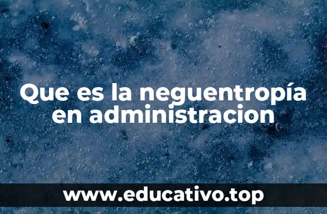 Que es la neguentropía en administracion