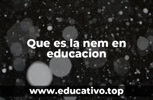 Que es la nem en educacion