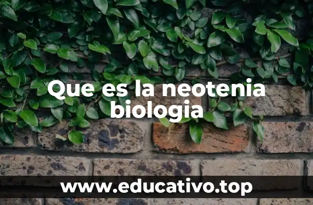 Que es la neotenia biologia