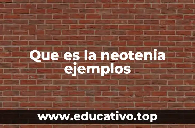 La neotenia como estrategia de adaptación evolutiva