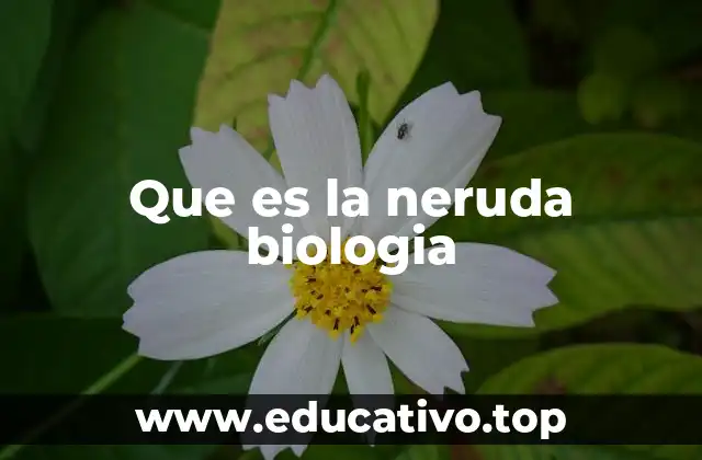 Que es la neruda biologia