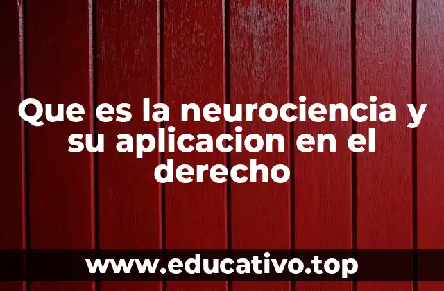 Que es la neurociencia y su aplicacion en el derecho