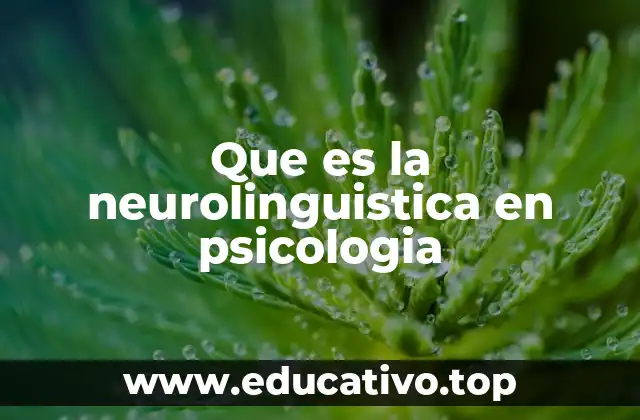 Que es la neurolinguistica en psicologia