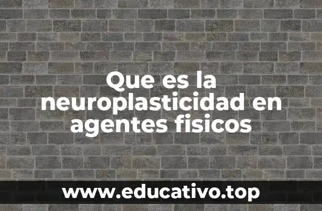 Que es la neuroplasticidad en agentes fisicos