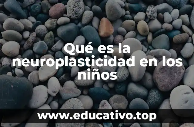 Qué es la neuroplasticidad en los niños