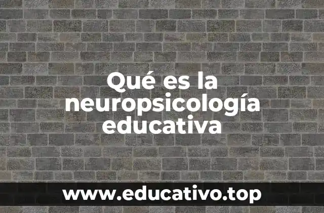 Qué es la neuropsicología educativa