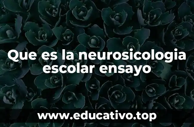 Que es la neurosicologia escolar ensayo