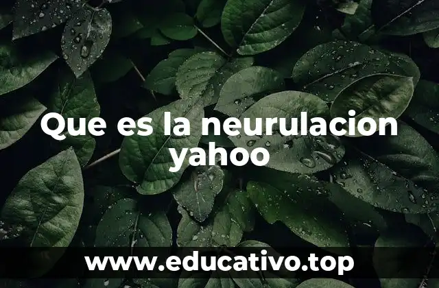 Que es la neurulacion yahoo