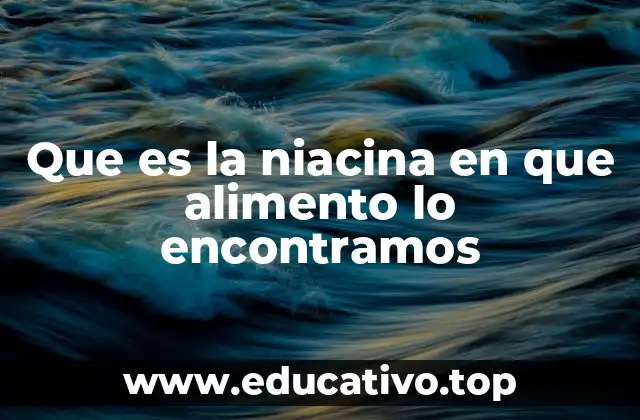 Que es la niacina en que alimento lo encontramos