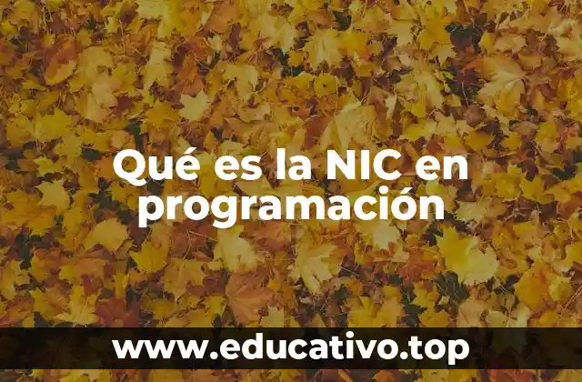Qué es la NIC en programación
