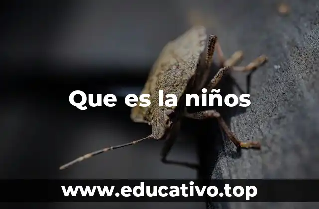 Que es la niños