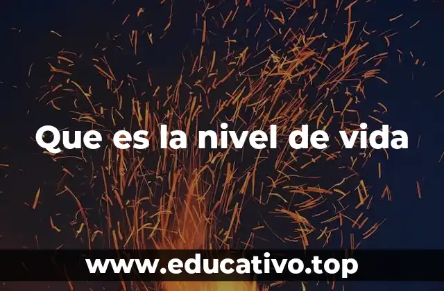 Que es la nivel de vida
