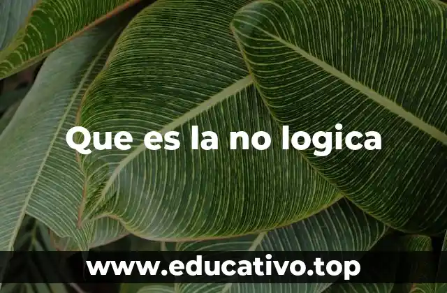 Que es la no logica