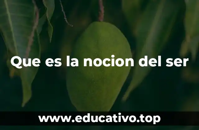 Que es la nocion del ser