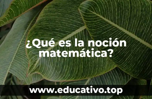 ¿Qué es la noción matemática?